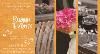Rogue Events LLC, Pensacola
