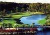 Walt Disney World, Orlando — Experience the natural beauty of the Florida woodlands that makes this majestic course one of America's premier resort destinations. Both a pleasure to play and one of Disney's toughest courses, this Joe Lee masterpiece features sparkling lakes and tropical sand, all in a gorgeous golf landscape populated with strategically placed palms. Played each year as part of the PGA TOUR FUNAI Classic, Disney's Palm offers plenty of challenges for the novice and seasoned pro alike. 

Enhance your on-course experience at this course which now features golf carts equipped with the latest GPS Technology powered by Uplink Corporation. This state-of-the-art equipment offers realistic computer-generated images of course fairways, greens and hazards that add a new dimension to the golf experience.