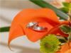 Wendy Miller Photography, New Hope