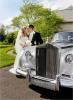 Wendy Miller Photography, New Hope