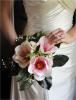 Wendy Miller Photography, New Hope