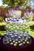 The Entertainer, Gardnerville — Cupcake display