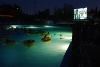 The Beach Waterpark, Mason — Dive In Movies