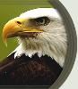 Woodland Park Zoo, Seattle