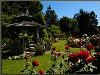 Woodland Park Zoo, Seattle — Rose Garden