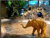 Woodland Park Zoo, Seattle — Zoomazium