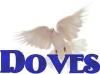 White Doves Los Angeles Southern California, Los Angeles — Call 1 714-903-6599 for white doves at your Funeral service or Wedding we service Disneyland, Forest Lawn Memorial Parks, Rose Hills Cemetery and many other venues in Southern California. www.OCdoves.com