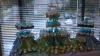 The CupCake Cafe - Greenwood, Greenwood — Baby Shower