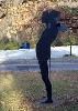Laumeier Sculpture Park, Saint Louis
