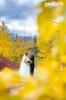 Photography by Ginevre, Canmore — Fall wedding in Banff.