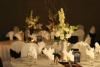 Creating A Remarkable Event, Fontana