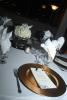 Creating A Remarkable Event, Fontana