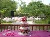 Groves at Greenfield- Morning Wedding and/or Reception Package Starting at $900, The Groves Wedding Garden and Reception Center, Mesa — 606