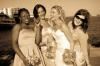 Dave Price Photography and Video, Glenview