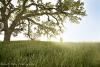 Robert Patin Photography, Los Angeles