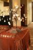 Premier Events, Rapid City — This event was a South Dakota Theme with escort cards on birch pieces displayed on a wire tree for guests to find there name and table they are seated at!