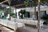 Wedding Reception Package, In the Garden, Jacksonville Beach