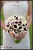 Eventrics Weddings, Tampa