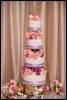 Eventrics Weddings, Tampa