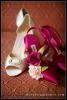 Eventrics Weddings, Tampa