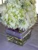 Creating A Remarkable Event, Fontana