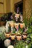 Catering Revolution, Vero Beach — This Edible "a'la natural" Garden Dessert Display features "Dirt Cake" within the pots, made from ground oreo cookies between layers of chocolate pudding, with planted edible orchids. Going Green Event held in Atlanta, Georgia for the Governor and 700 constituents.