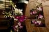 Catering Revolution, Vero Beach — The beauty and elegance of nature presents the loveliest of centerpieces for your Events. These edible orchids enhance every aspect of your display...and dinner.