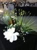 Catering Revolution, Vero Beach — Pt. Saint Lucie, FL. A night of Elegance at the Temple. Beautiful decor with sumptuous hors d'oeuvres, and delicious desserts surrounding an illustrious cantorial performance. "L'Chaim"