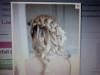 Wendi Scianna - Hairstylist, Englewood