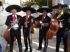 Live Music - Washington DC Professional Entertainment, Washington