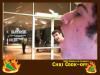 Super Social Photo Kiosk - Monterey, Monterey
