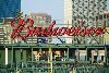 Right Field Roof Deck, Fenway Park, Boston