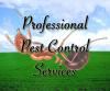 Click to see Profile