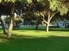 Cricket Field & Hunt Field, Calamigos Equestrian, Burbank
