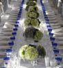 Nova catering + Event, New York