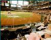 Batter's Box, Chase Field - Home of the Arizona Diamondbacks, Phoenix