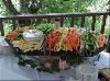 Impressive Catering Services, Westbrook