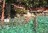 Coral Gables' Venetian Pool, Miami