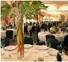 Treetop Ballroom, Jungle Island, Miami — At Treetop Ballroom, we are able to create exceptionally beautiful and lavish events regardless of size.
