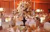 Treetop Ballroom, Jungle Island, Miami — At Treetop Ballroom, we are able to create exceptionally beautiful and lavish events regardless of size.