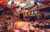 Banyan Salon, Jungle Island, Miami