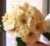 Blooms And Rooms PDX, Portland — Simply Elegant