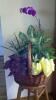 Blooms And Rooms PDX, Portland — Any Occasion Arrangements