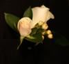Blooms And Rooms PDX, Portland — Even the men will have a standout design