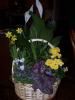 Blooms And Rooms PDX, Portland — Always Beautiful Memorial Baskets