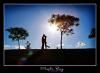 Angela Perez Wedding Photography, Lancaster