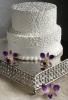 Enchanted Vizions, Houston — Cake Holder 17" Base and 15" Top