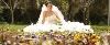 Toto Wedding