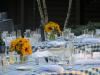 Accent on Events