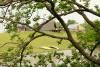 Shepherd's Fold Ranch, Avant